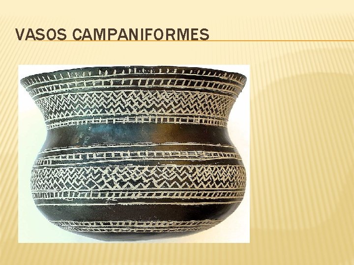 VASOS CAMPANIFORMES VASOS CAMPANIFORMES