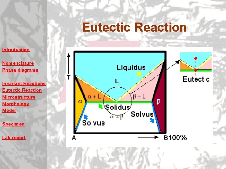 Eutectic Reaction Introduction Nomenclature Phase diagrams Invariant Reactions Eutectic Reaction Microstructure Morphology Model Specimen Eutectic Reaction Introduction Nomenclature Phase diagrams Invariant Reactions Eutectic Reaction Microstructure Morphology Model Specimen