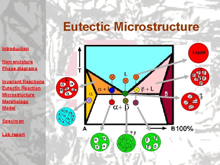 Eutectic Microstructure Introduction Nomenclature Phase diagrams Invariant Reactions Eutectic Reaction Microstructure Morphology Model Specimen Eutectic Microstructure Introduction Nomenclature Phase diagrams Invariant Reactions Eutectic Reaction Microstructure Morphology Model Specimen