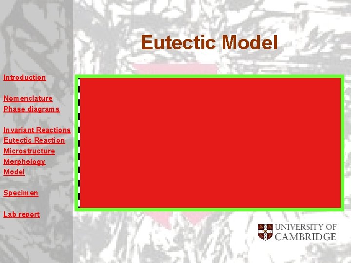 Eutectic Model Introduction Nomenclature Phase diagrams Invariant Reactions Eutectic Reaction Microstructure Morphology Model Specimen Eutectic Model Introduction Nomenclature Phase diagrams Invariant Reactions Eutectic Reaction Microstructure Morphology Model Specimen