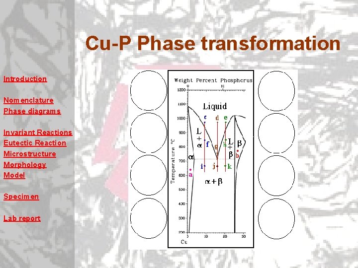 Cu-P Phase transformation Introduction Nomenclature Phase diagrams Invariant Reactions Eutectic Reaction Microstructure Morphology Model Cu-P Phase transformation Introduction Nomenclature Phase diagrams Invariant Reactions Eutectic Reaction Microstructure Morphology Model