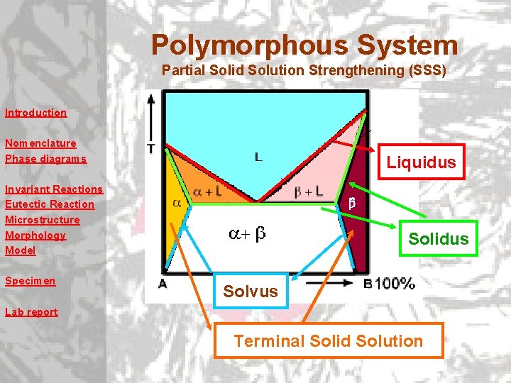 Polymorphous System Partial Solid Solution Strengthening (SSS) Introduction Nomenclature Phase diagrams Liquidus Invariant Reactions Polymorphous System Partial Solid Solution Strengthening (SSS) Introduction Nomenclature Phase diagrams Liquidus Invariant Reactions