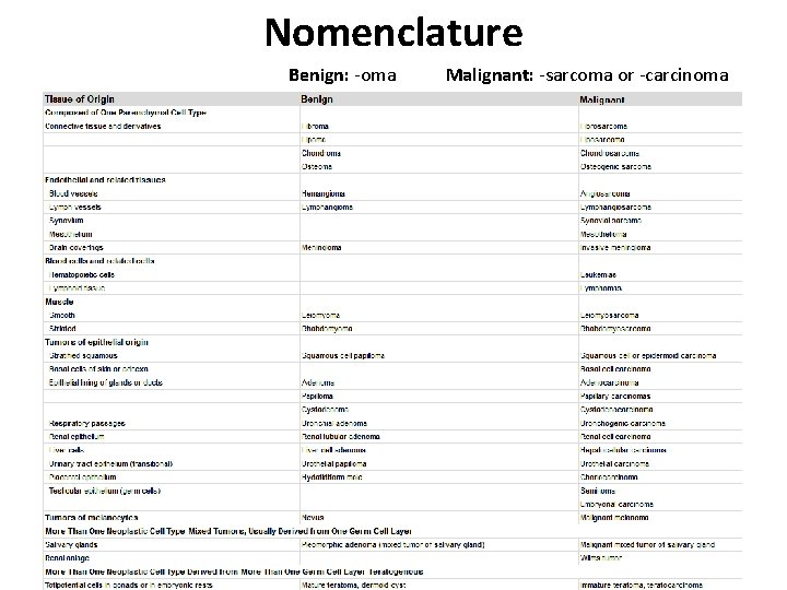 Nomenclature Benign: -oma Malignant: -sarcoma or -carcinoma Nomenclature Benign: -oma Malignant: -sarcoma or -carcinoma