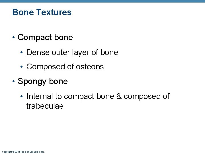 Bone Textures • Compact bone • Dense outer layer of bone • Composed of Bone Textures • Compact bone • Dense outer layer of bone • Composed of