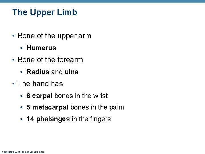 The Upper Limb • Bone of the upper arm • Humerus • Bone of The Upper Limb • Bone of the upper arm • Humerus • Bone of