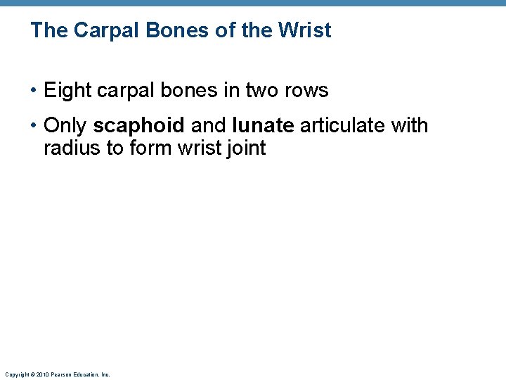 The Carpal Bones of the Wrist • Eight carpal bones in two rows • The Carpal Bones of the Wrist • Eight carpal bones in two rows •