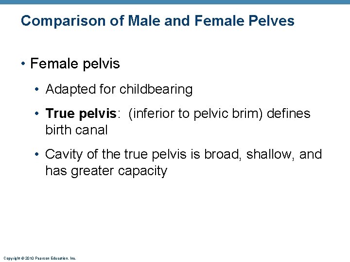 Comparison of Male and Female Pelves • Female pelvis • Adapted for childbearing • Comparison of Male and Female Pelves • Female pelvis • Adapted for childbearing •