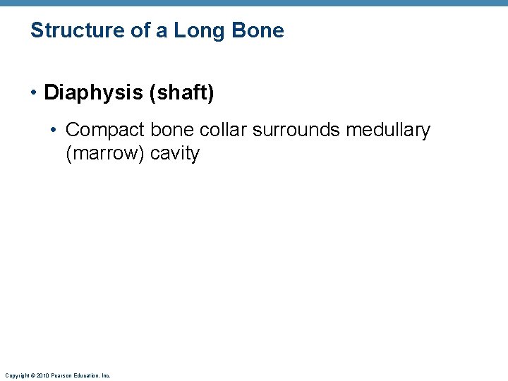 Structure of a Long Bone • Diaphysis (shaft) • Compact bone collar surrounds medullary Structure of a Long Bone • Diaphysis (shaft) • Compact bone collar surrounds medullary