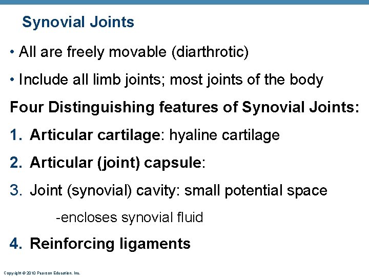 Synovial Joints • All are freely movable (diarthrotic) • Include all limb joints; most Synovial Joints • All are freely movable (diarthrotic) • Include all limb joints; most