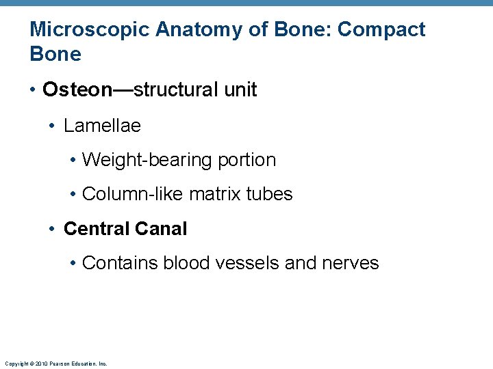 Microscopic Anatomy of Bone: Compact Bone • Osteon—structural unit • Lamellae • Weight-bearing portion Microscopic Anatomy of Bone: Compact Bone • Osteon—structural unit • Lamellae • Weight-bearing portion