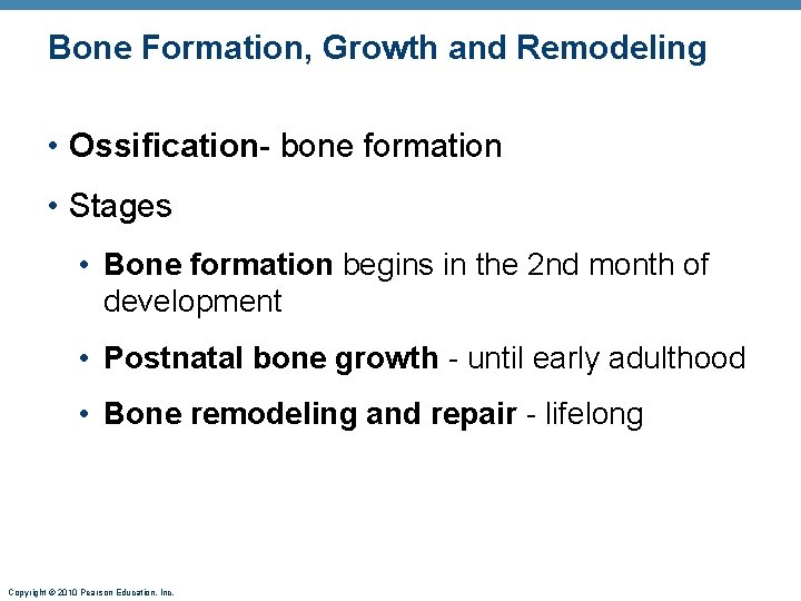 Bone Formation, Growth and Remodeling • Ossification- bone formation • Stages • Bone formation Bone Formation, Growth and Remodeling • Ossification- bone formation • Stages • Bone formation