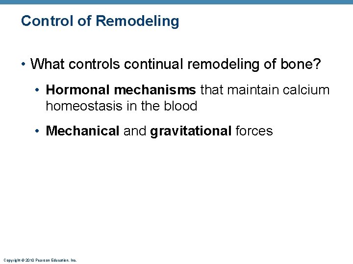 Control of Remodeling • What controls continual remodeling of bone? • Hormonal mechanisms that Control of Remodeling • What controls continual remodeling of bone? • Hormonal mechanisms that