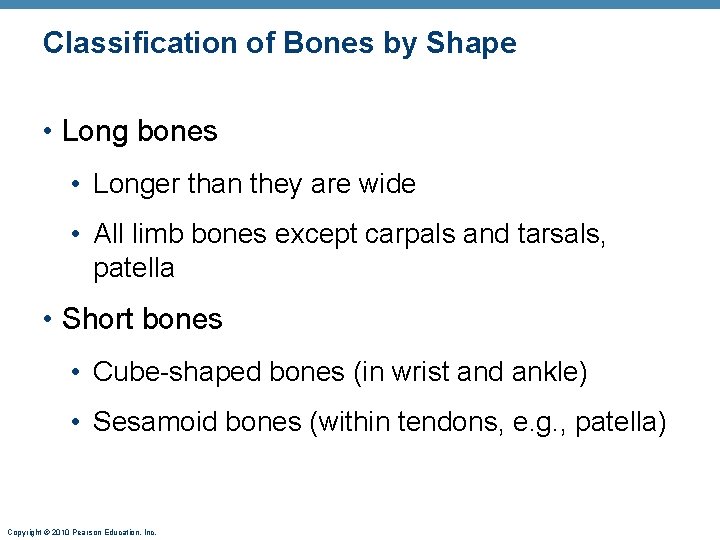Classification of Bones by Shape • Long bones • Longer than they are wide Classification of Bones by Shape • Long bones • Longer than they are wide