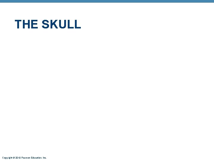THE SKULL Copyright © 2010 Pearson Education, Inc. THE SKULL Copyright © 2010 Pearson Education, Inc.