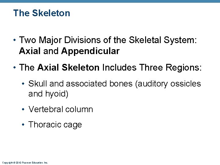 The Skeleton • Two Major Divisions of the Skeletal System: Axial and Appendicular • The Skeleton • Two Major Divisions of the Skeletal System: Axial and Appendicular •