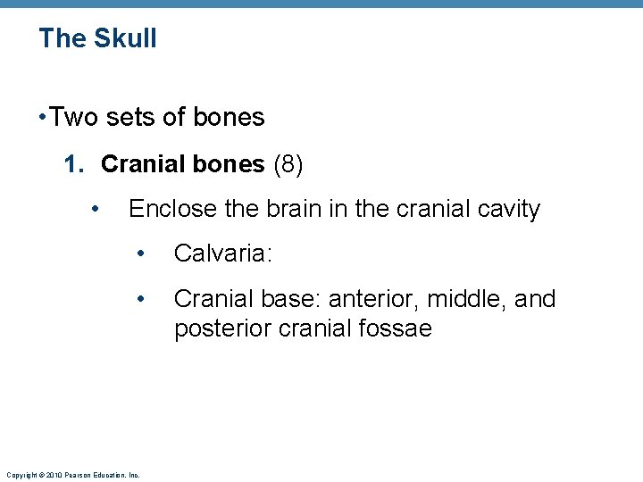 The Skull • Two sets of bones 1. Cranial bones (8) • Enclose the The Skull • Two sets of bones 1. Cranial bones (8) • Enclose the