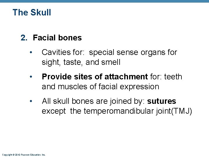 The Skull 2. Facial bones • Cavities for: special sense organs for sight, taste, The Skull 2. Facial bones • Cavities for: special sense organs for sight, taste,