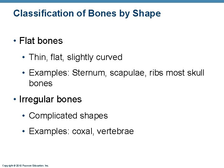 Classification of Bones by Shape • Flat bones • Thin, flat, slightly curved • Classification of Bones by Shape • Flat bones • Thin, flat, slightly curved •
