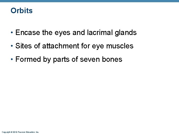 Orbits • Encase the eyes and lacrimal glands • Sites of attachment for eye Orbits • Encase the eyes and lacrimal glands • Sites of attachment for eye