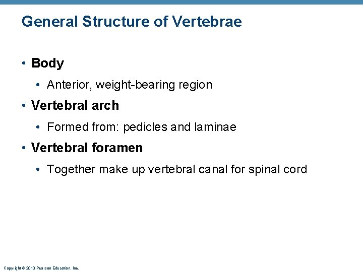 General Structure of Vertebrae • Body • Anterior, weight-bearing region • Vertebral arch • General Structure of Vertebrae • Body • Anterior, weight-bearing region • Vertebral arch •