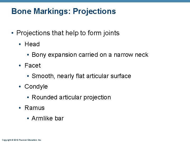 Bone Markings: Projections • Projections that help to form joints • Head • Bony Bone Markings: Projections • Projections that help to form joints • Head • Bony