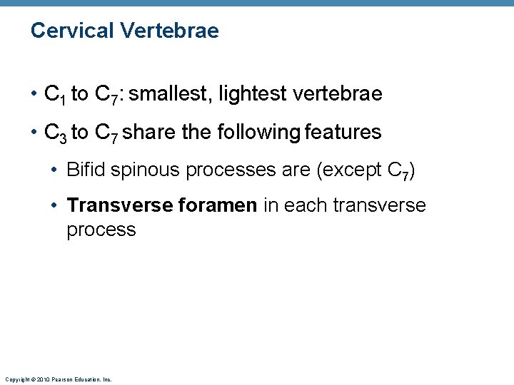 Cervical Vertebrae • C 1 to C 7: smallest, lightest vertebrae • C 3 Cervical Vertebrae • C 1 to C 7: smallest, lightest vertebrae • C 3
