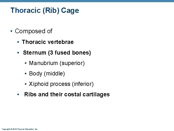 Thoracic (Rib) Cage • Composed of • Thoracic vertebrae • Sternum (3 fused bones) Thoracic (Rib) Cage • Composed of • Thoracic vertebrae • Sternum (3 fused bones)