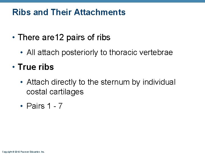 Ribs and Their Attachments • There are 12 pairs of ribs • All attach Ribs and Their Attachments • There are 12 pairs of ribs • All attach