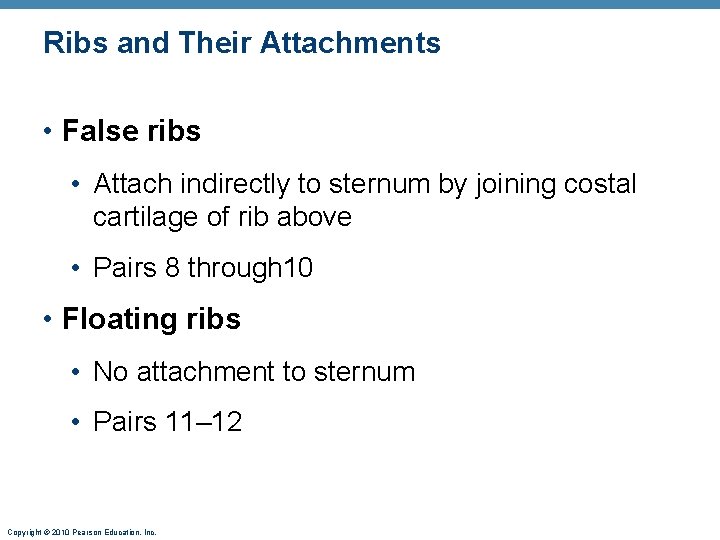 Ribs and Their Attachments • False ribs • Attach indirectly to sternum by joining Ribs and Their Attachments • False ribs • Attach indirectly to sternum by joining