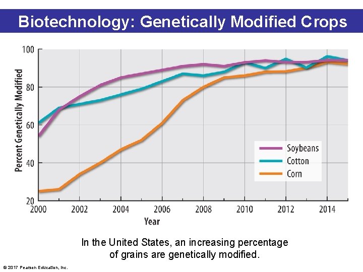 Biotechnology: Genetically Modified Crops In the United States, an increasing percentage of grains are