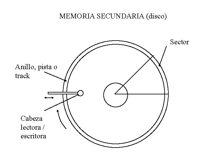 MEMORIA SECUNDARIA (disco) Sector Anillo, pista o track Cabeza lectora / escritora 