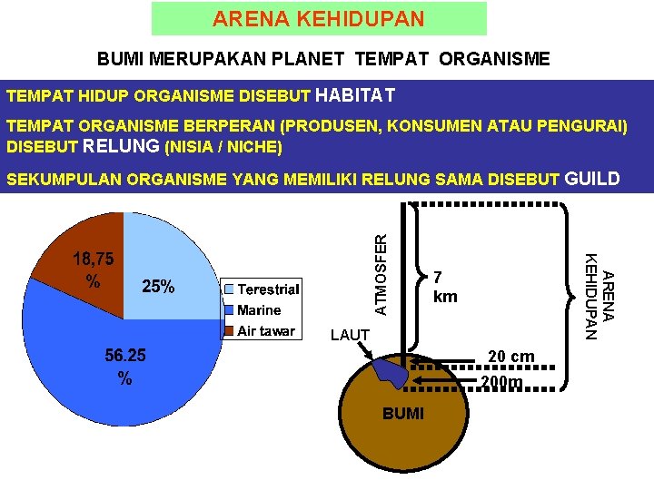 Persebaran dan sejarah perkembangan makhluk hidup