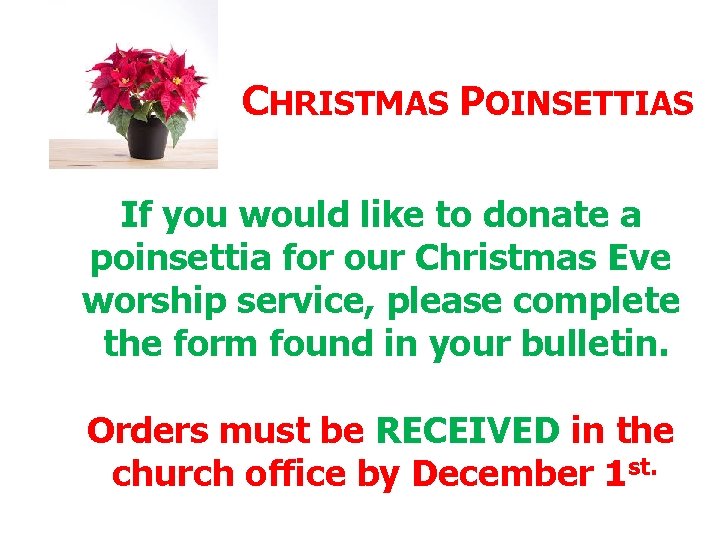  CHRISTMAS POINSETTIAS If you would like to donate a poinsettia for our Christmas