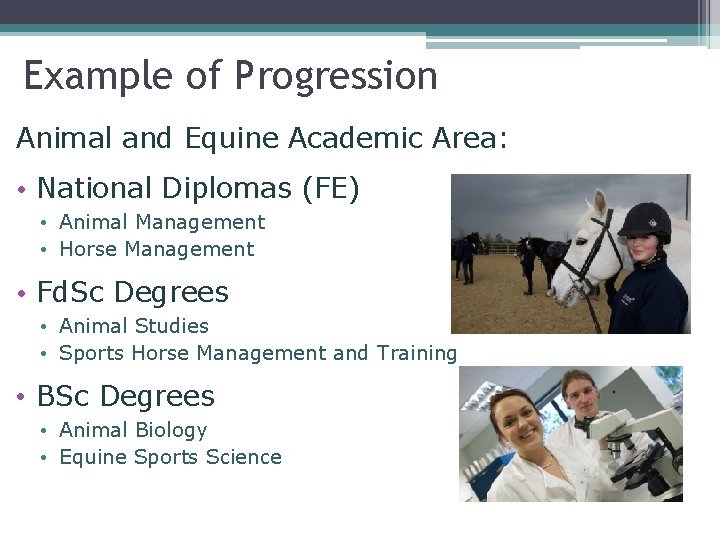 Example of Progression Animal and Equine Academic Area: • National Diplomas (FE) • Animal