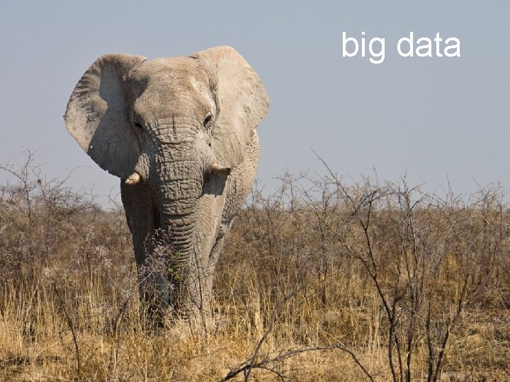big data 