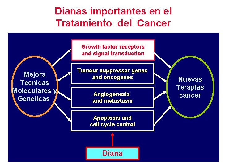 Dianas importantes en el Tratamiento del Cancer Growth factor receptors and signal transduction Mejora