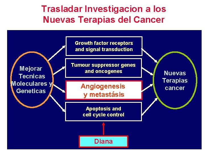 Trasladar Investigacion a los Nuevas Terapias del Cancer Growth factor receptors and signal transduction
