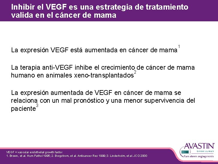 Inhibir el VEGF es una estrategia de tratamiento valida en el cáncer de mama