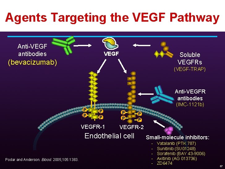 Agents Targeting the VEGF Pathway Anti-VEGF antibodies VEGF Soluble VEGFRs (bevacizumab) (VEGF-TRAP) Anti-VEGFR antibodies