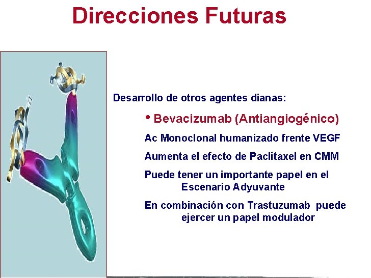 Direcciones Futuras Desarrollo de otros agentes dianas: • Bevacizumab (Antiangiogénico) Ac Monoclonal humanizado frente
