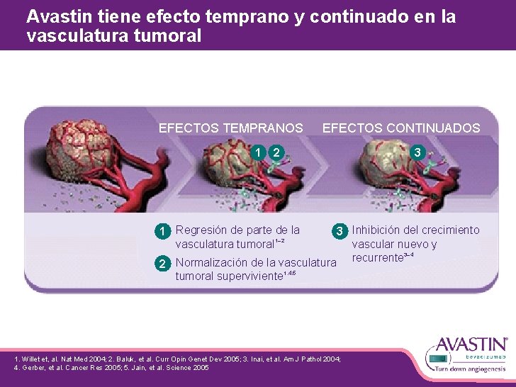 Avastin tiene efecto temprano y continuado en la vasculatura tumoral EFECTOS TEMPRANOS 1 EFECTOS