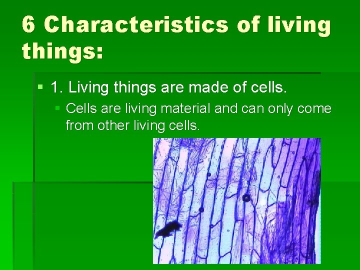 6 Characteristics of living things: § 1. Living things are made of cells. §