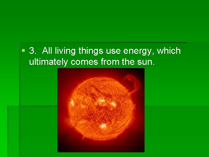 § 3. All living things use energy, which ultimately comes from the sun. 