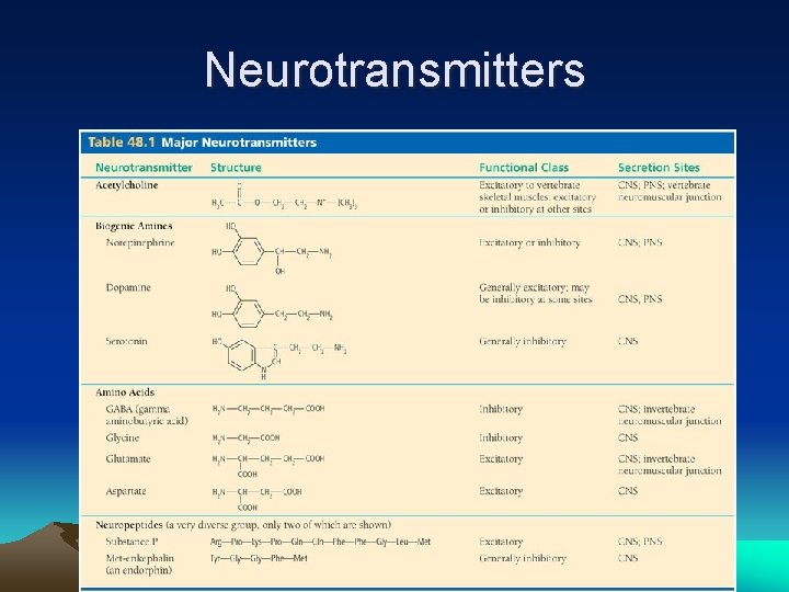 Neurotransmitters 