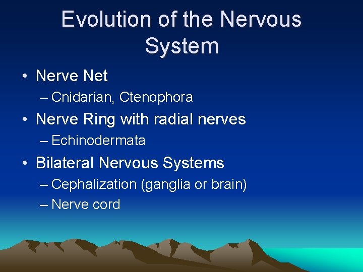 Evolution of the Nervous System • Nerve Net – Cnidarian, Ctenophora • Nerve Ring