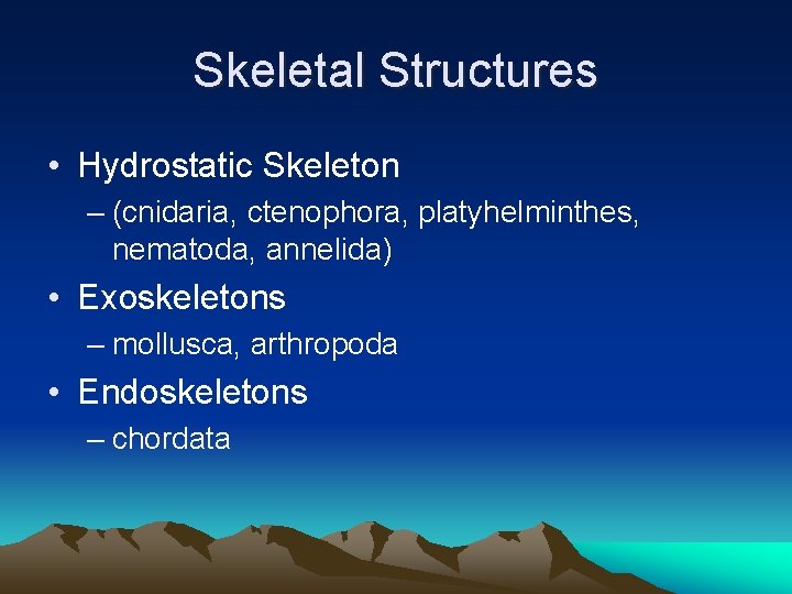 Skeletal Structures • Hydrostatic Skeleton – (cnidaria, ctenophora, platyhelminthes, nematoda, annelida) • Exoskeletons –