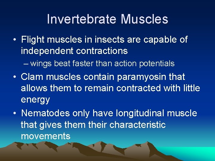 Invertebrate Muscles • Flight muscles in insects are capable of independent contractions – wings