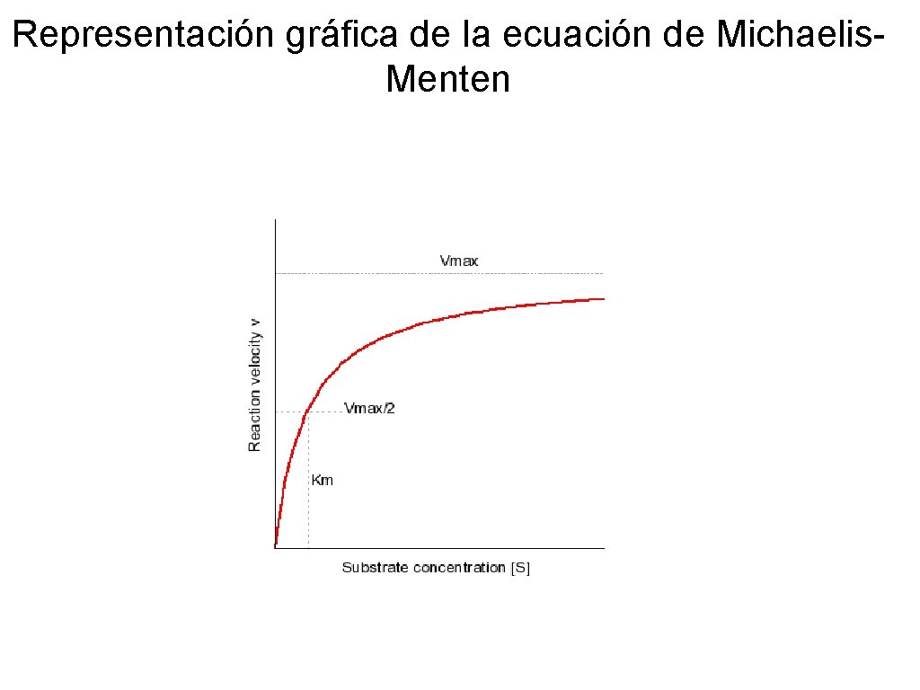 Representación gráfica de la ecuación de Michaelis. Menten 