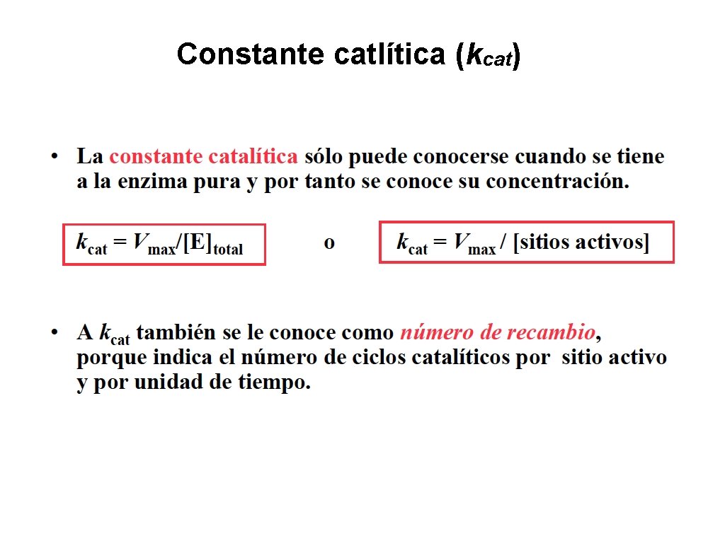 Constante catlítica (kcat) 