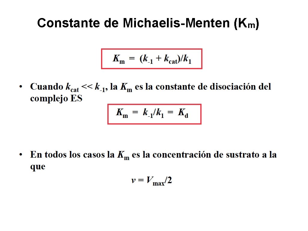 Constante de Michaelis-Menten (Km) 